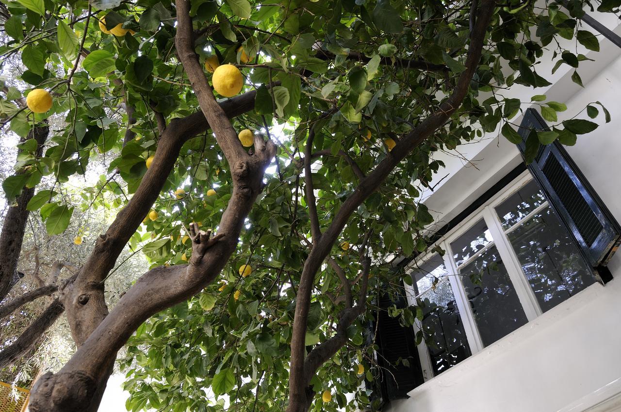Athens Green Apartments * Athene